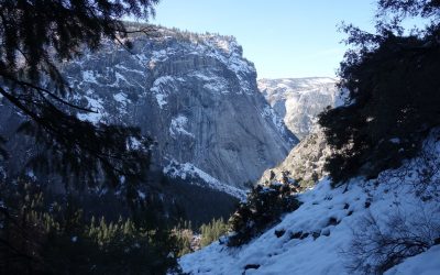 Day 6: Yosemite, the gathering of spirit II