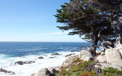 Day 10 : Monterey & Carmel by bike